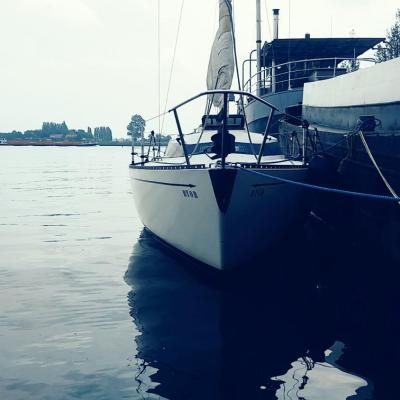 City Sailing (Ertskade 6  1019 BB Amsterdam)