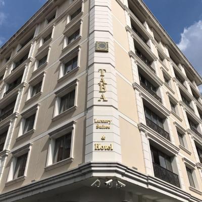 Taba Luxury Suites and Hotel (Gayrettepe Mahallesi Elifoğlu Sokak No:01 Taba Luxury Suites, Beşiktaş 34349 Istanbul)