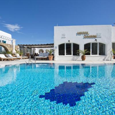 Zannis Hotel (Sxoli Kalon Texnon  84600 Mykonos)