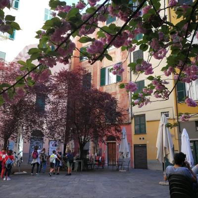 Lavagna Uno (1 Piazza Lavagna 16123 Gênes)
