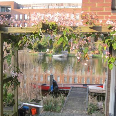 M&M Bed&Bubbles (Zwanebloemlaan 25 1087 CD Amsterdam)