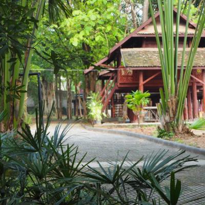 Insight Hostel (65/64 Moo 10 Soi Wat Umong, Suthep Road, T. Suthep, A. Muang Chiang Mai 50200 Chiang Mai)
