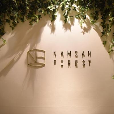 Photo Namsan Forest in Myeongdong