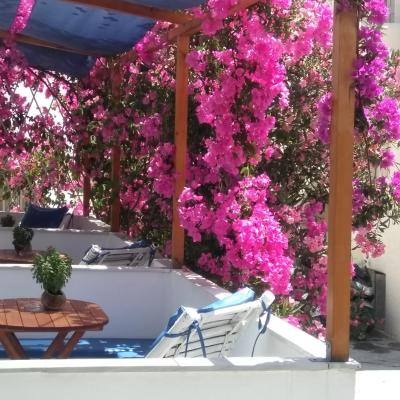 Doron Hotel Delfini (Agios Georgios Region 84300 Naxos Chora)