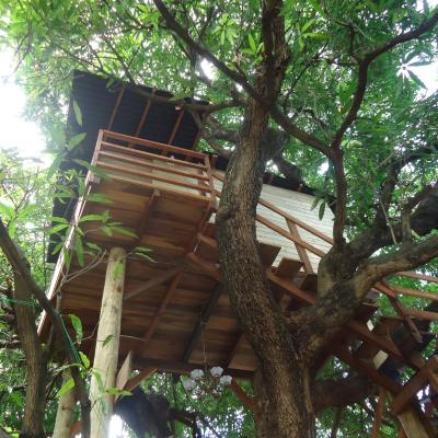 Casa na Árvore (Rua Jogo do Carneiro, nº 314  Casarão 40045-040 Salvador)