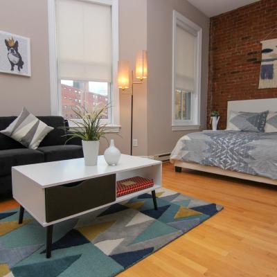 Stylish Downtown Studio in the SouthEnd, C.Ave# 3 ( MA 02116 Boston)