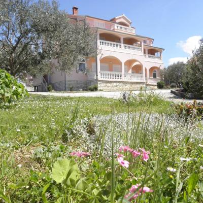 Rooms & Apartments Linda & Mario (Poljana Dragutina Domjanica 28 23000 Zadar)