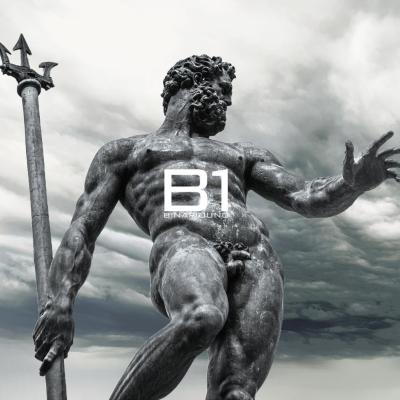 binariouno (via matteotti n° 1-3 ( 2 piano) 40129 Bologne)