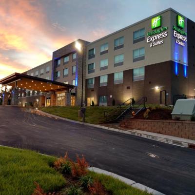 Holiday Inn Express & Suites - Charlotte NE - University Area, an IHG Hotel (6020 University Pointe Boulevard, Charlotte, NC 28262 United States 28262 Charlotte)