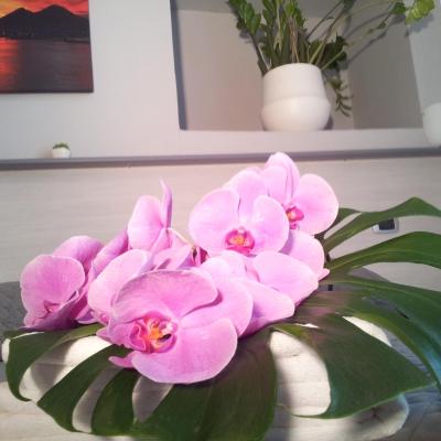 B&B Solimena (Via Francesco Solimena 113 80127 Naples)