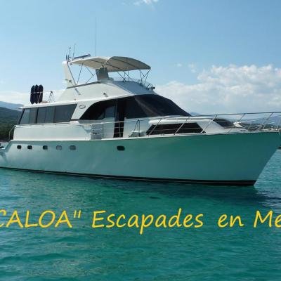 Ocean Yacht Trawler - Le Caloa (Avenue George Pompidou 20137 Porto-Vecchio)