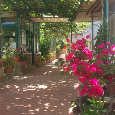 Villa dei fiori B&B (Via Acquaviva 19 80073 Capri)