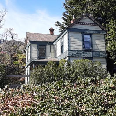 Photo Sea Birds Cottage