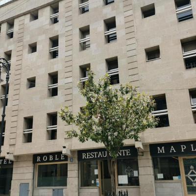 Hotel Roble (Uruguay 109 Colonia Centro 06060 Mexico)