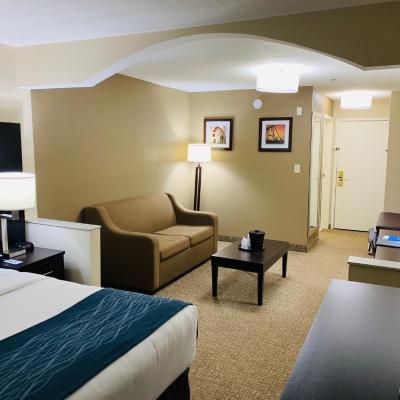 Comfort Inn & Suites Atlanta-Smyrna (2800 Highlands Parkway Southeast GA 30082 Atlanta)