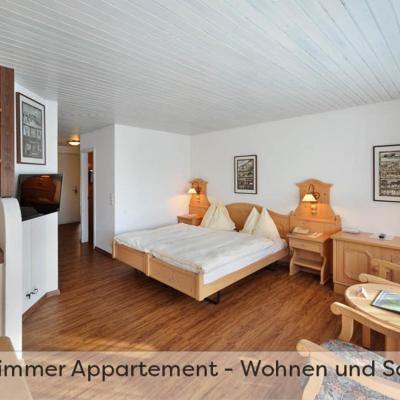 Aparthotel Eiger *** - Grindelwald (Dorfstrasse 133 3818 Grindelwald)