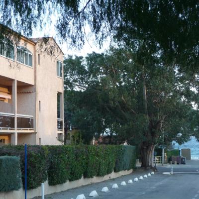 Hôtel les Eucalyptus (72 avenue des Eucalyptus 83240 Cavalaire-sur-Mer)