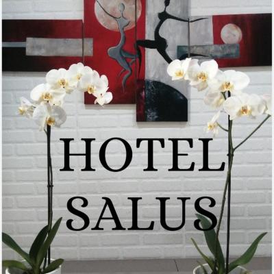 Hotel Salus (Via Pellegrino Rossi 59 20161 Milan)