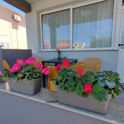 The Nice Dreams Studio Apartment (Nikole Tesle 8 23000 Zadar)