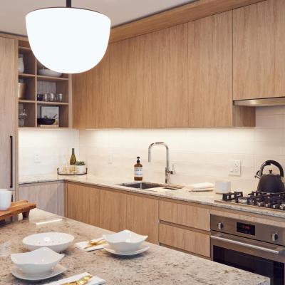 Level Chicago - River North (369 West Grand Avenue IL 60654 Chicago)