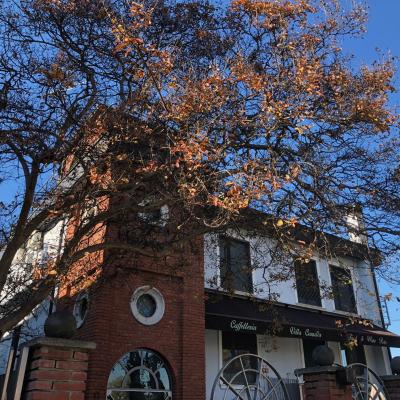 Villa Camilla Milano (Via Cavriana 13 20134 Milan)