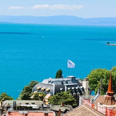 La plus belle vue du lac Léman (18 Avenue de Belmont 1820 Montreux)