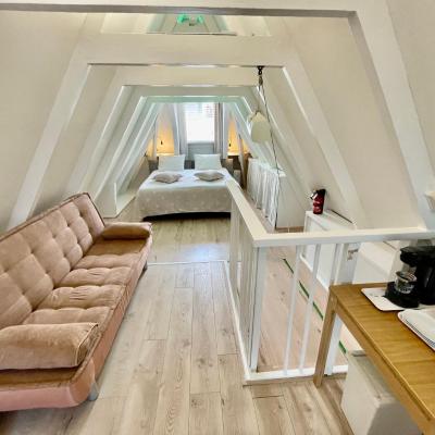 Olive Bed and Breakfast (Gerard Doustraat 33-3 1072 VK Amsterdam)