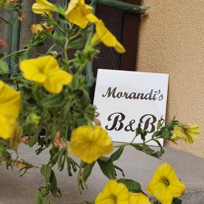 Morandi's (46 Via Berretta Rossa 40133 Bologne)