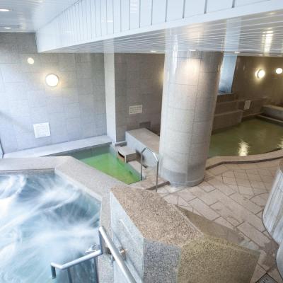 HOTEL MYSTAYS PREMIER Sapporo Park (Chuo-ku Minami 9-jo Nishi 2-chome 2-10 064-0809 Sapporo)