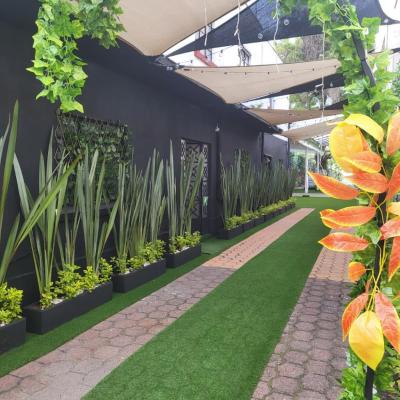 Posada Paraíso (81 Heroes del 47 04120 Mexico)