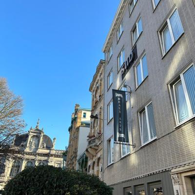 Beaux ARTS (Plaatsnijdersstraat 3 2000 Anvers)