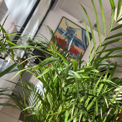 Photo Hotel centre Rouen VT