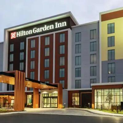 Hilton Garden Inn Orlando I-4 Millenia Blvd Mall (5058 Millenia Place Drive FL 32839 Orlando)