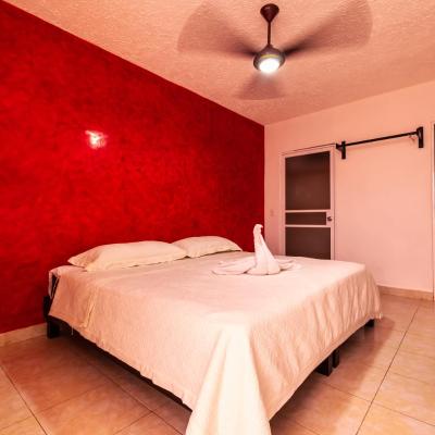 Hotel Bello Caribe Express (Avenida Felix González Canto 1ra privada S/N 77620 Cozumel)