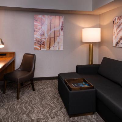 SpringHill Suites by Marriott Pittsburgh North Shore (223 Federal Street PA 15212 Pittsburgh)