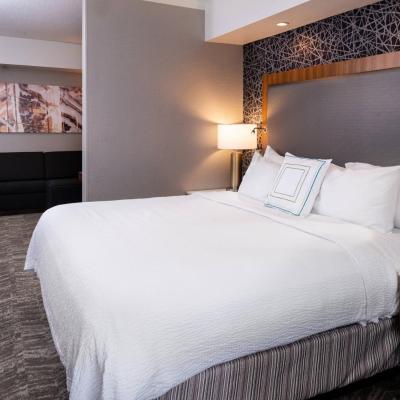 SpringHill Suites by Marriott Pittsburgh North Shore (223 Federal Street PA 15212 Pittsburgh)