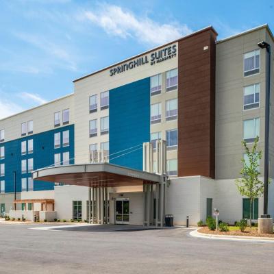 SpringHill Suites by Marriott Charlotte Airport Lake Pointe (2223 Cascade Pointe Boulevard 28208 Charlotte)