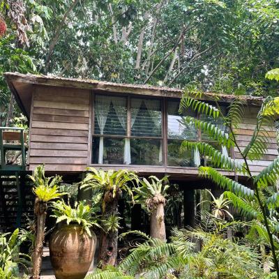 Fern Paradise (73/1 Moo 5 Sansailuang Sansai 50210 Chiang Mai)