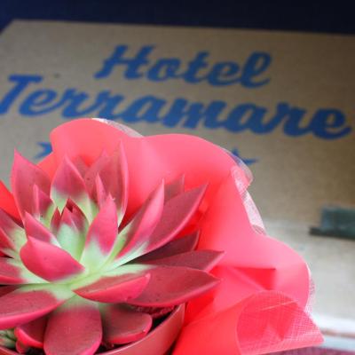 Photo Hotel Terramare