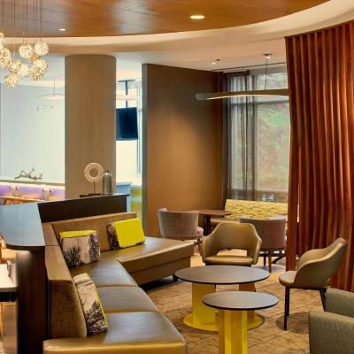 SpringHill Suites by Marriott Atlanta Airport Gateway (2091 Convention Center Concourse GA 30337 Atlanta)