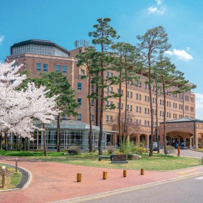 Mayfield Hotel Seoul (94, Banghwa-daero, Gangseo-gu 07506 Séoul)