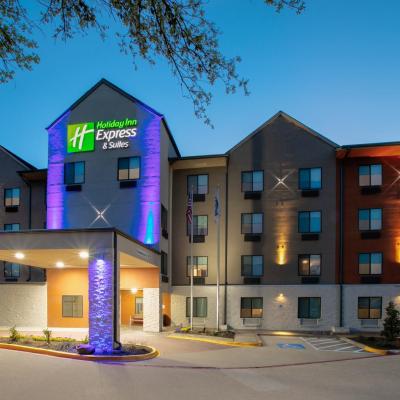 Holiday Inn Express & Suites - Dallas Park Central Northeast, an IHG Hotel (9089 Vantage Point Drive 75243 Dallas)