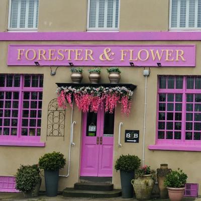 The Forester and Flower (172 Bradford Road BA2 5BZ Bath)