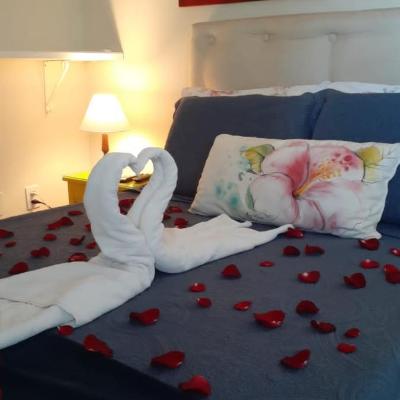 La Coloniale (Rua Cesar Augusto Sao Luiz, 21 28950-000 Búzios)