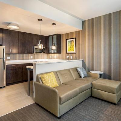 Residence Inn by Marriott Houston Medical Center/NRG Park (7807 Kirby Drive TX 77030 Houston)