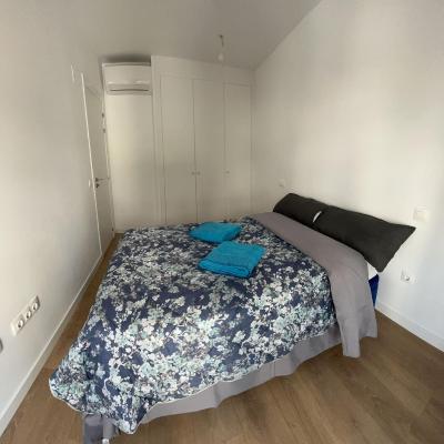 Mars Suites Porras (3 Calle Antonio González Porras 1D 28019 Madrid)