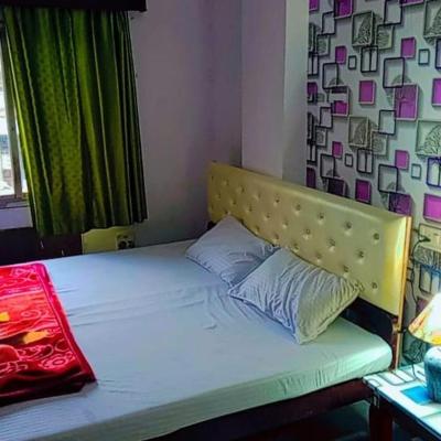 Shree Krishna Hotel (6 Pannadhay Marg Hathi poll 313001 Udaipur)