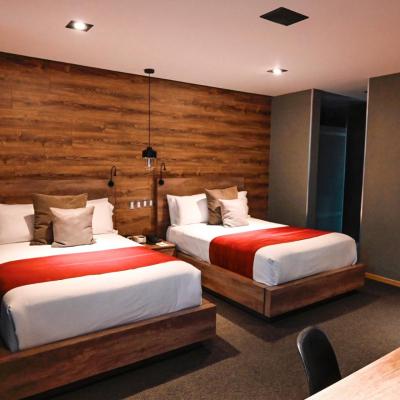 Hotel Park Nilo Reforma (Rio Nilo 71 06500 Mexico)