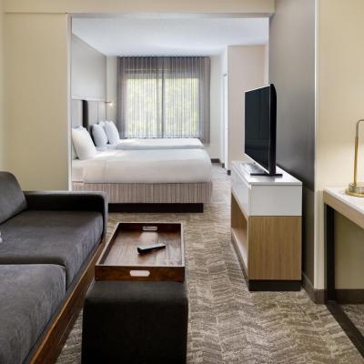 SpringHill Suites Charlotte University Research Park (8700 Research Drive NC 28262 Charlotte)