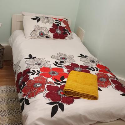 Private single room guest sleep (689 Seven Sisters Road N15 5LA Londres)